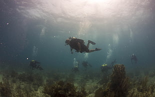 pair of men's black scuba flippers, underwater, group of people, divers
