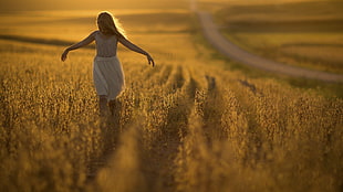 wheat field, field, depth of field, road, blonde