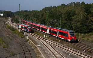 two red trains, nature, train, railway