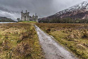 photo of narrow road toward castle during day time, lochawe, scotland, united kingdom HD wallpaper