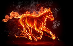 running orange horse HD wallpaper