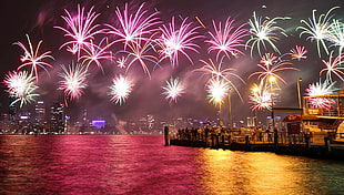 fireworks display, fireworks, Australia, colorful, night HD wallpaper