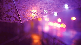 clear umbrella, umbrella, lights, street light, city lights