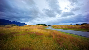 green grass field, landscape, river, road HD wallpaper