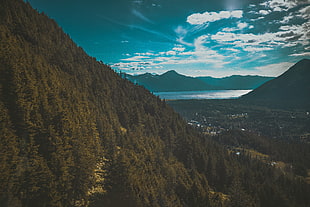 tree covered mountain, Mountains, Lake, Trees HD wallpaper