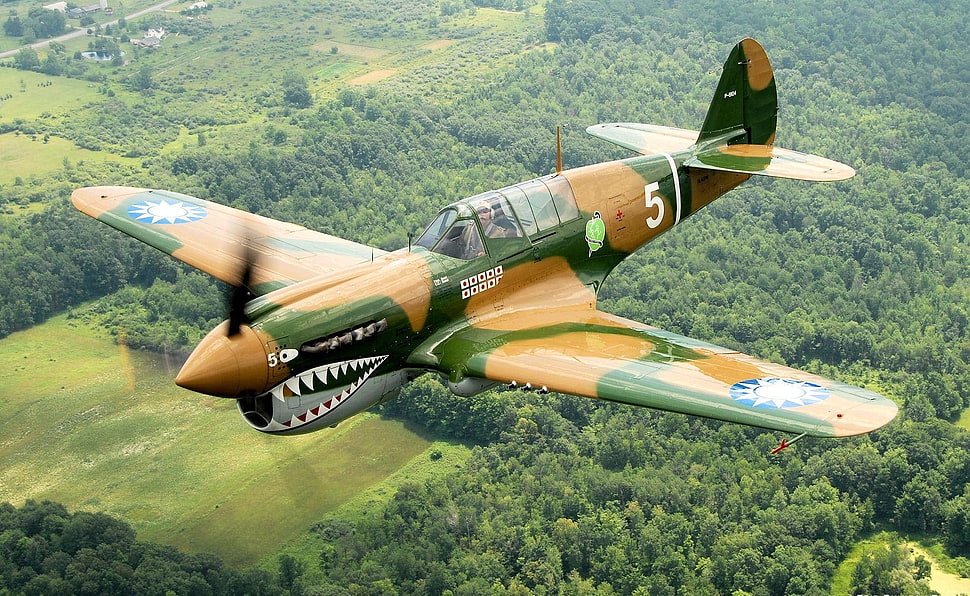 green and brown fighter jet, airplane, aircraft, Curtiss P-40 Warhawk HD wallpaper