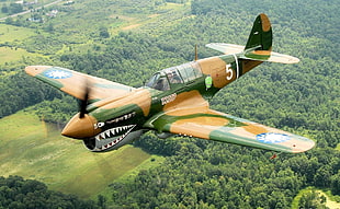 green and brown fighter jet, airplane, aircraft, Curtiss P-40 Warhawk
