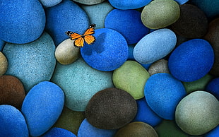 orange butterfly on blue, green and black pebble illustration