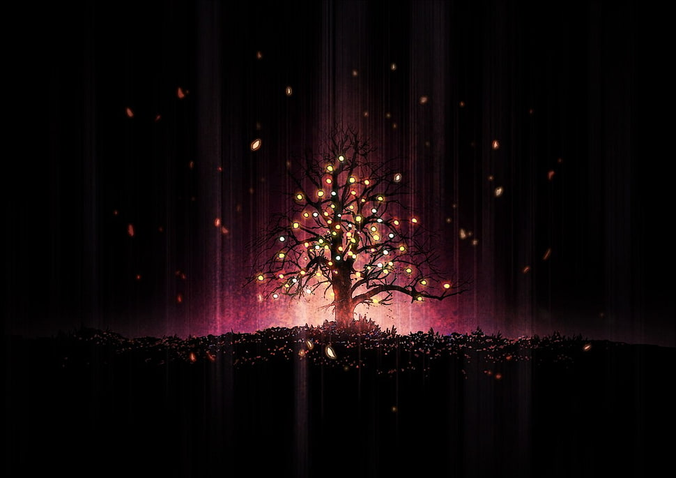 tree with light wallpaper HD wallpaper