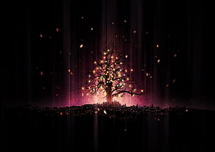 tree with light wallpaper