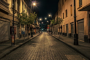 photography of alley at nighttime