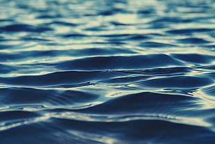 blue calm body of water, sea