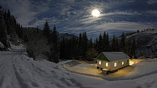 white and green house, nature, landscape, night, Moon