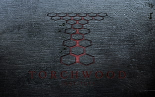 brown and black floral area rug, Torchwood, Doctor Who, texture