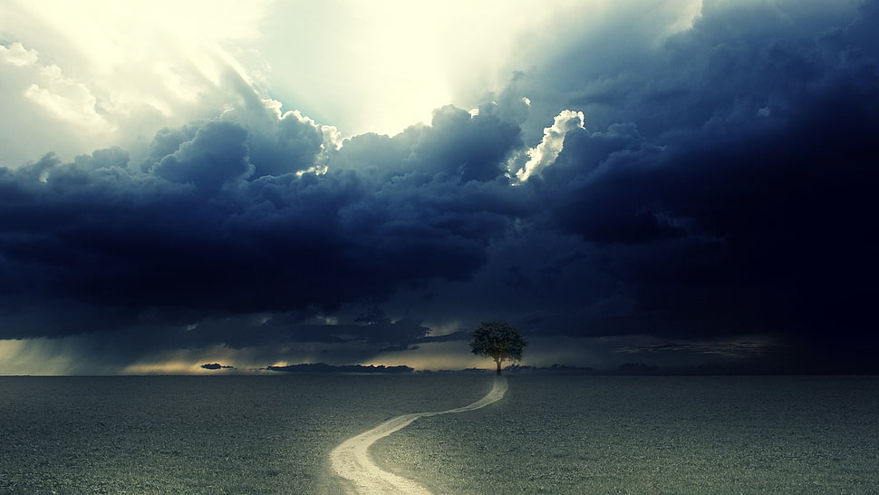 white winding road, landscape, trees, path, rain HD wallpaper
