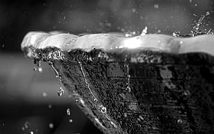 selective photo of rain drops in pot HD wallpaper