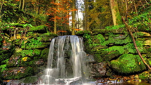 waterfall surrounded with mossy stones