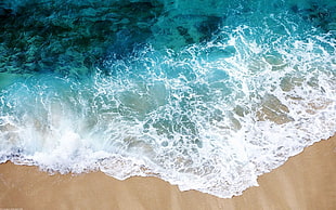 body of water, waves, sea, beach, nature