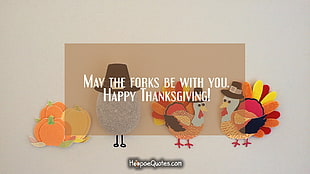 four assorted-color decors, Thanksgiving, holiday, typography, quote HD wallpaper