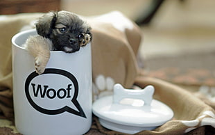 short-coated brown and black puppy on white ceramic mug photo