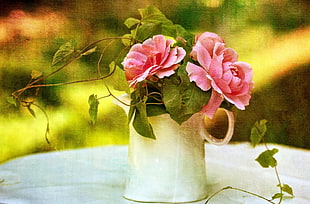 pink petaled flower in white ceramic pitcher photo