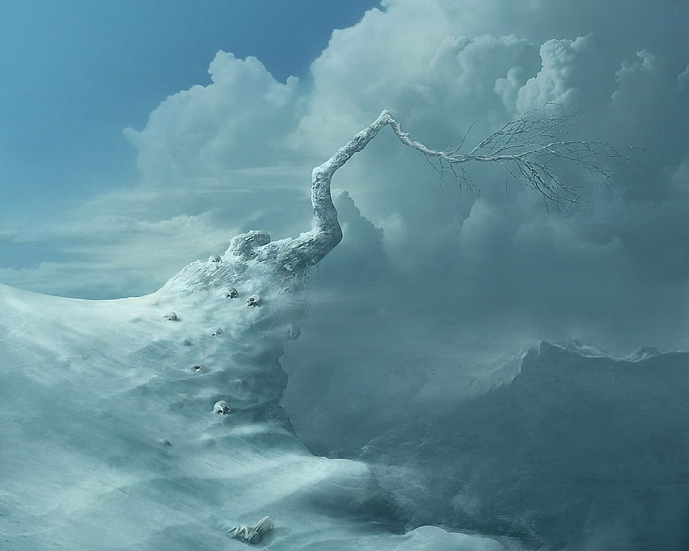 bare tree on cliff under cloudy sky HD wallpaper