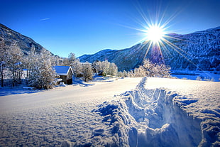 landscape photography of mountain during winter time