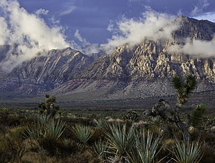 brown mountain under blue sky, red rock canyon national conservation area