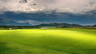 landscape photo of green grass field during daytime