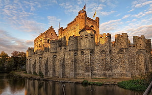 gray and brown stone castle, Gravensteen, castle