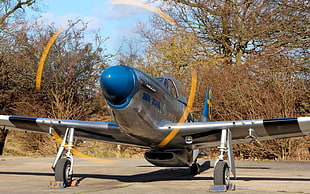 gray and blue monoplane, warplanes, aircraft, military aircraft, vehicle HD wallpaper