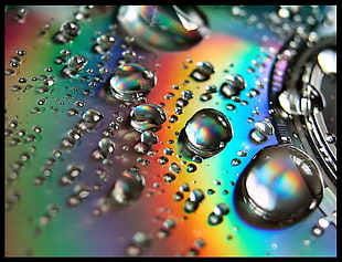 water droplet wallpaper, closeup, discs, water drops