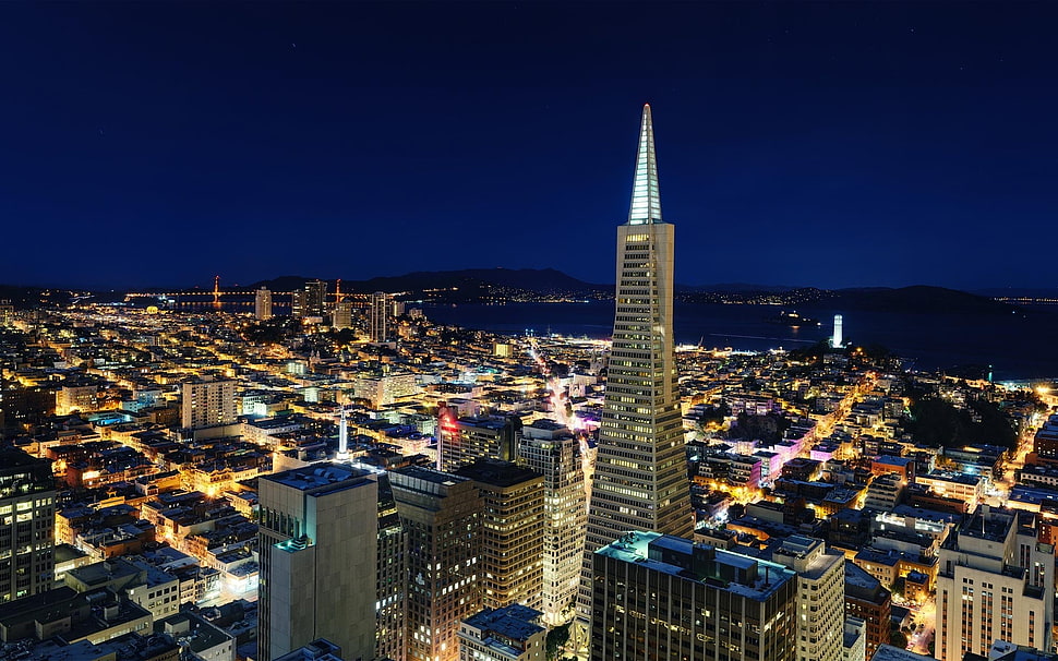 brown high-rise building metropolis during nighttime HD wallpaper