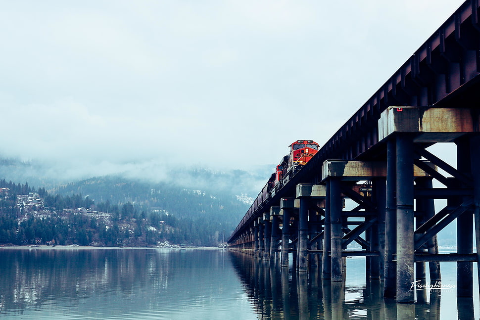 red and black train, train, bridge, water, trees HD wallpaper