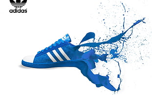 blue and white Adidas Superstar 2 illustration HD wallpaper