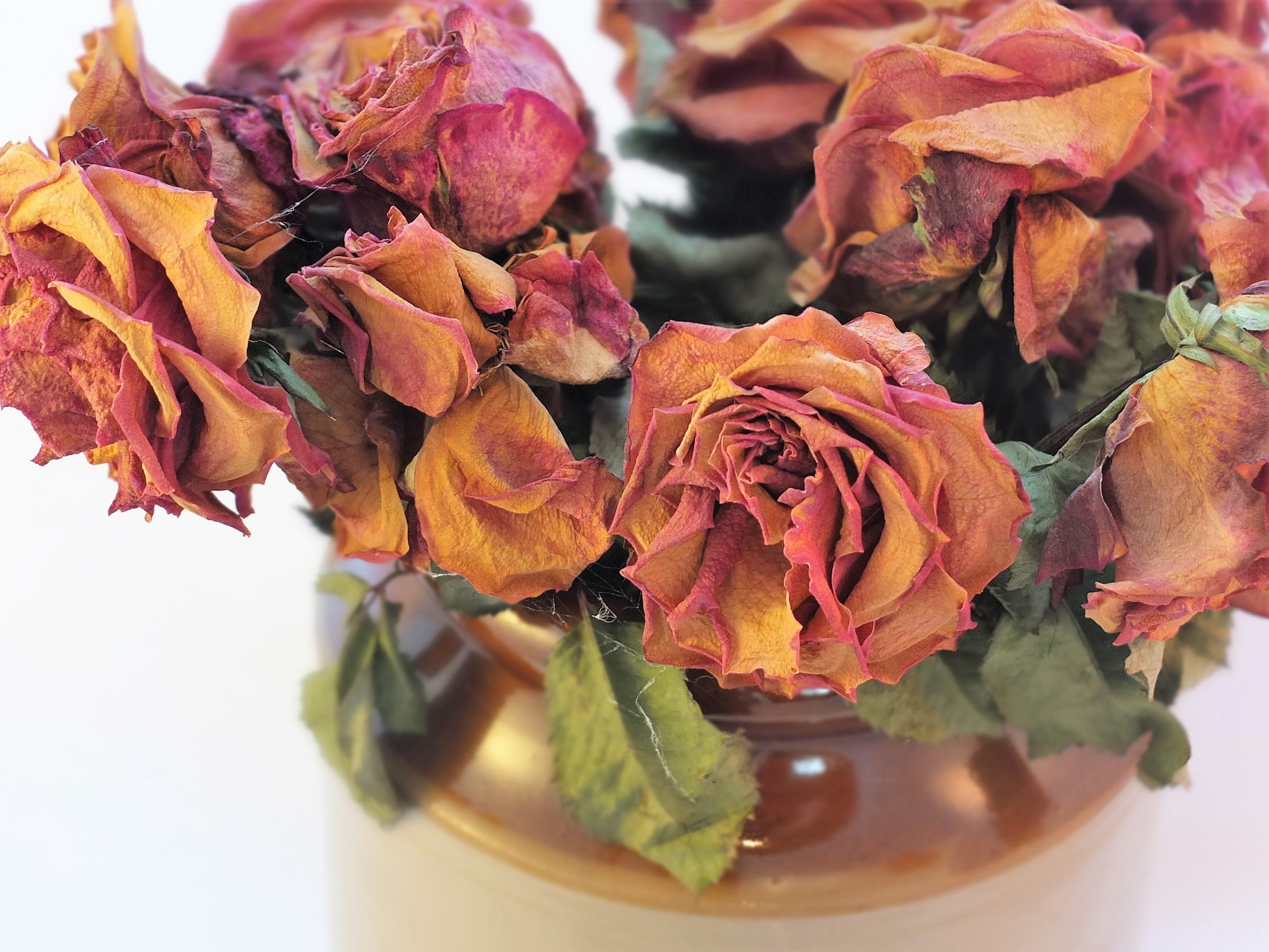 brown-and-red petaled flowers, Roses, Bouquet, Dry