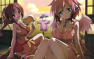 two brown and pink-haired anime girls