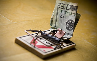 mouse trap with 20 U.S. Dollar bill HD wallpaper