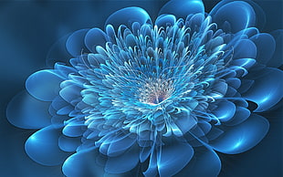 blue petaled flowers digital wallpaper