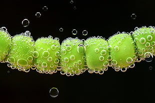 closeup photo of water drops and green beads