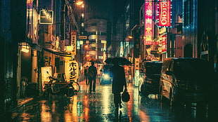 person holding umbrella while walking the street during rainy season HD wallpaper