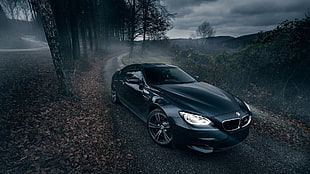 black BMW coupe, car, nature, trees, road