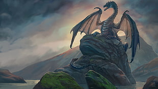gray dragon on top of gray boulder of rock illustration HD wallpaper