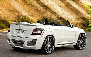 landscape photo of Mercedes-Benz convertible coup on road