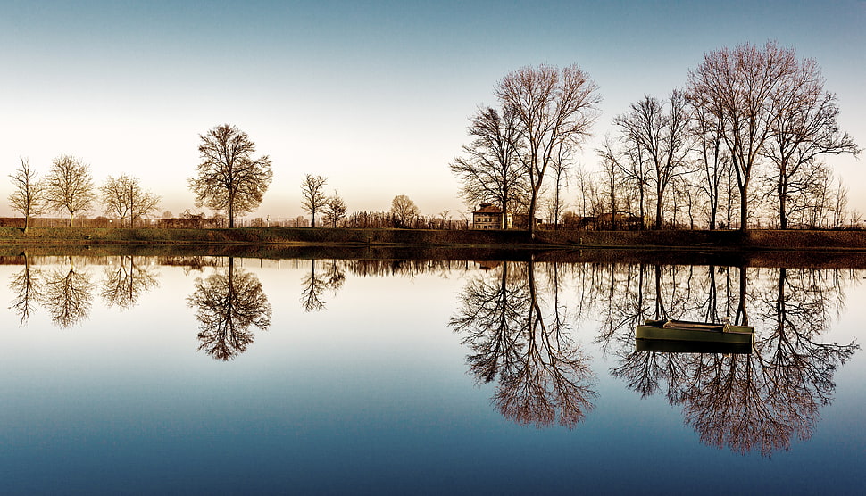 trees reflection on lake photography HD wallpaper