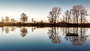 trees reflection on lake photography HD wallpaper