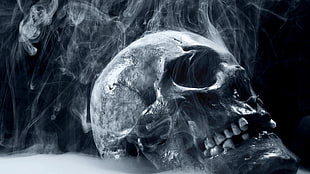 white human skull illustration, artwork, digital art, skull, smoke
