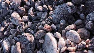 assorted brown and black stones, beach, stones