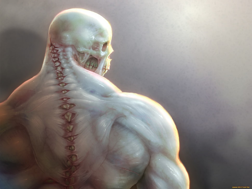 skull, muscles, bones, drawing HD wallpaper