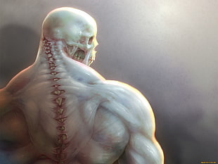 skull, muscles, bones, drawing
